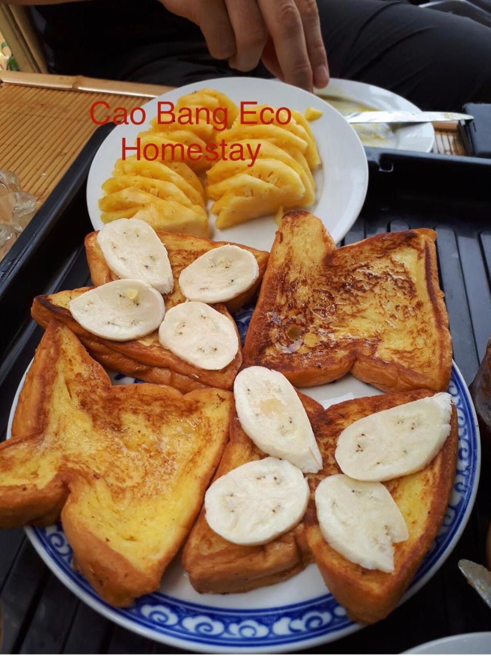 Eco Проживание в семье *